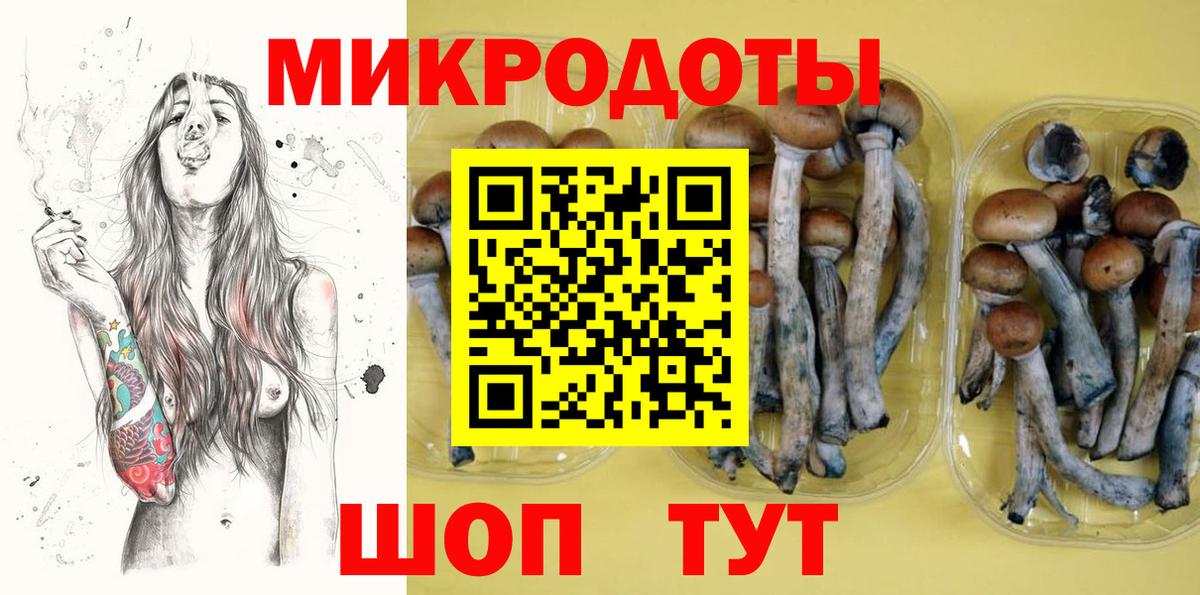 Всеволожск  дарнет шоп  Псилоцибиновые грибы мицелий  Вход с VPN  Галлюциногенные грибы мицелий 